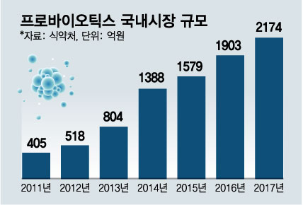 /그래픽=김다나 디자인 기자