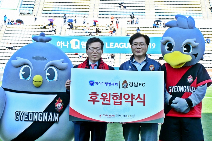 와이디 이미지