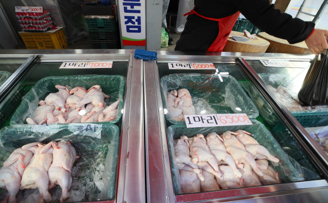 세종종합축산물 이미지
