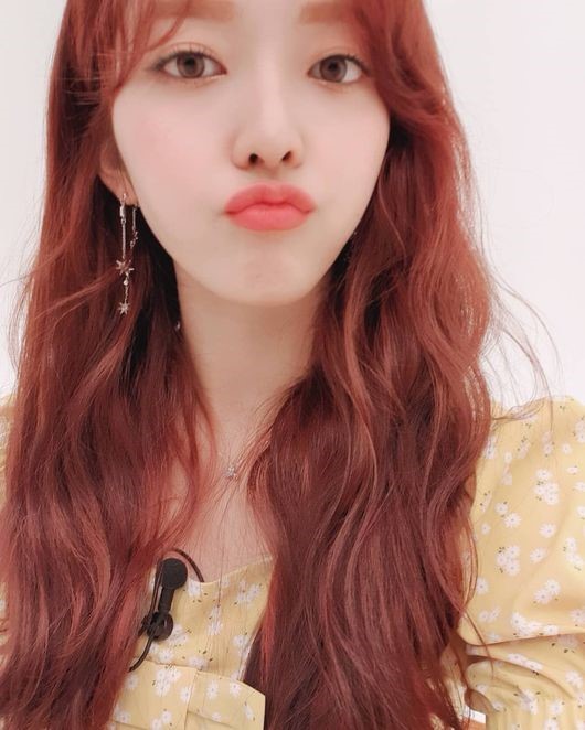 찬미 이미지