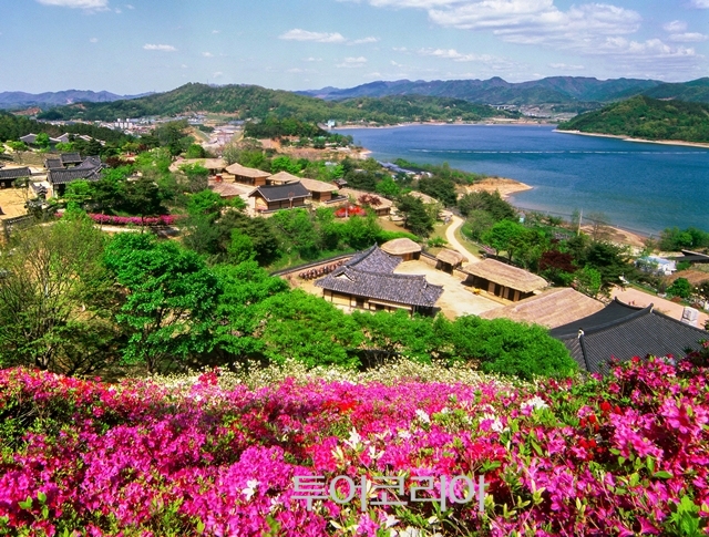 힐링가득 이미지