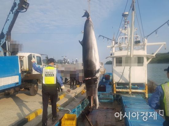 밍크 이미지