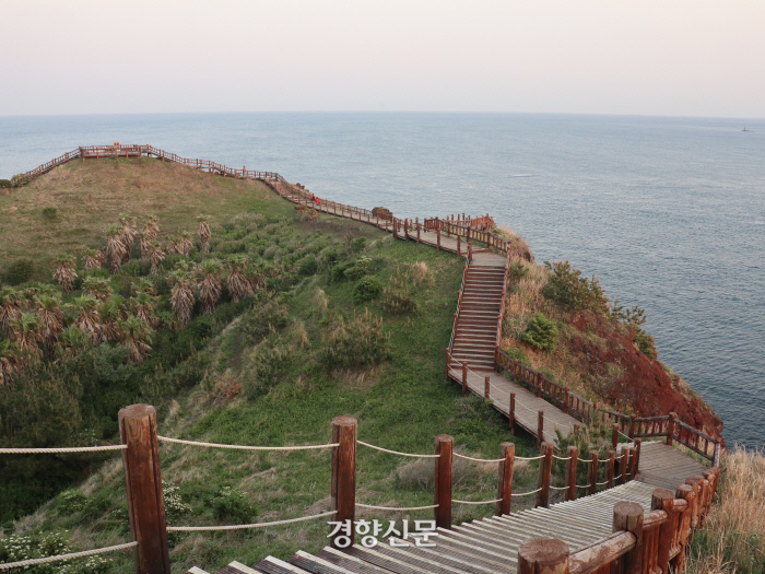 제주초록섬 이미지
