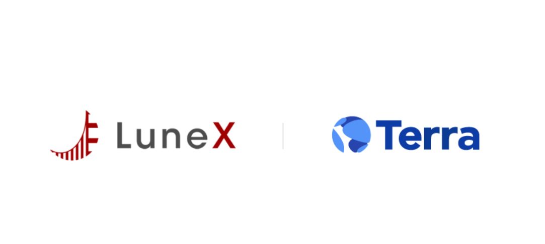 테라벤처스 이미지