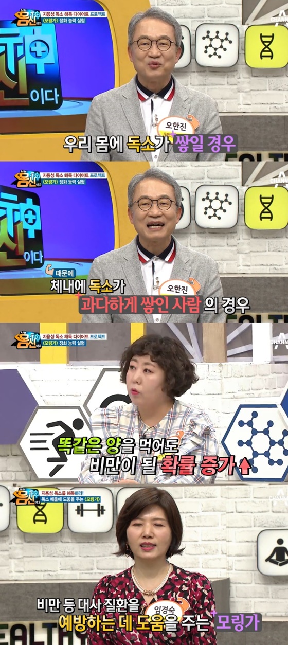 모링가 이미지