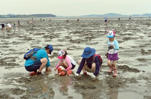 고창바지락칼국수 이미지