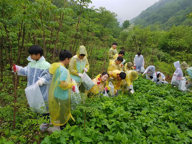 산촌 이미지