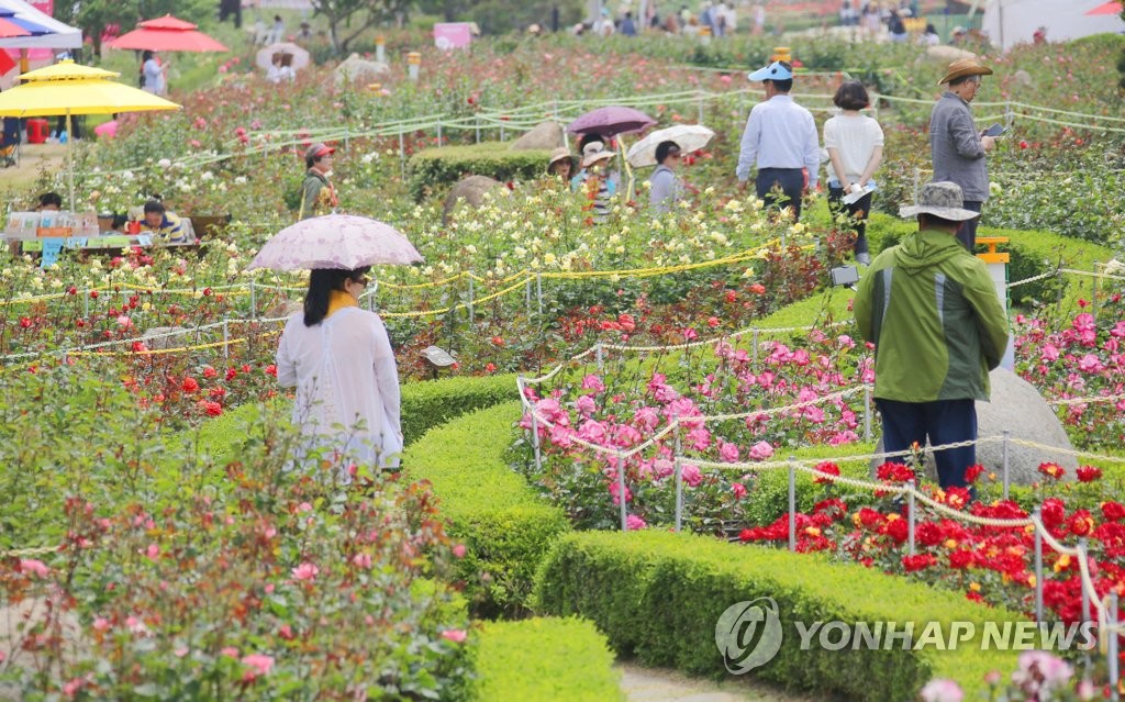 송이분식 이미지
