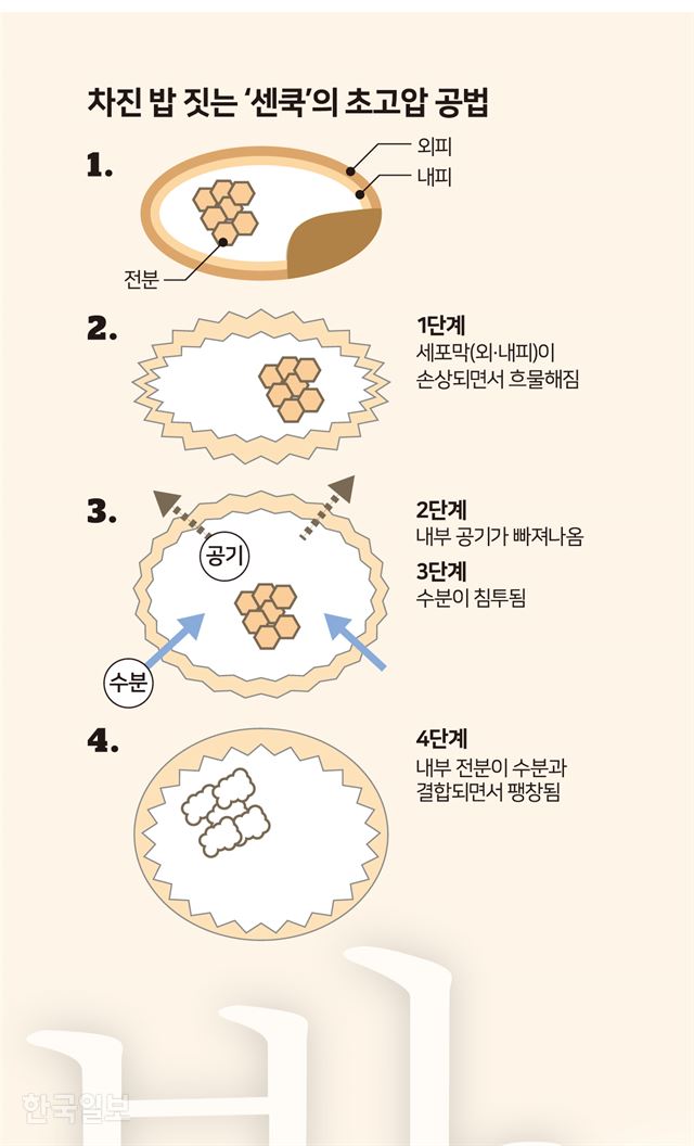 차진 밥 짓는 센쿡 의 초고압공법. 그래픽=송정근 기자