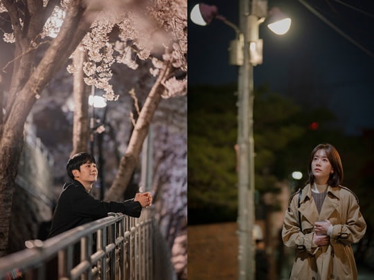 봄밤 이미지