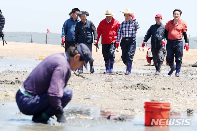 자유 이미지
