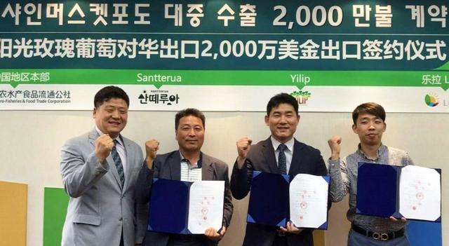 샤인 이미지