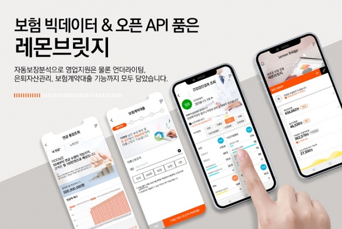 레몬시스템 이미지