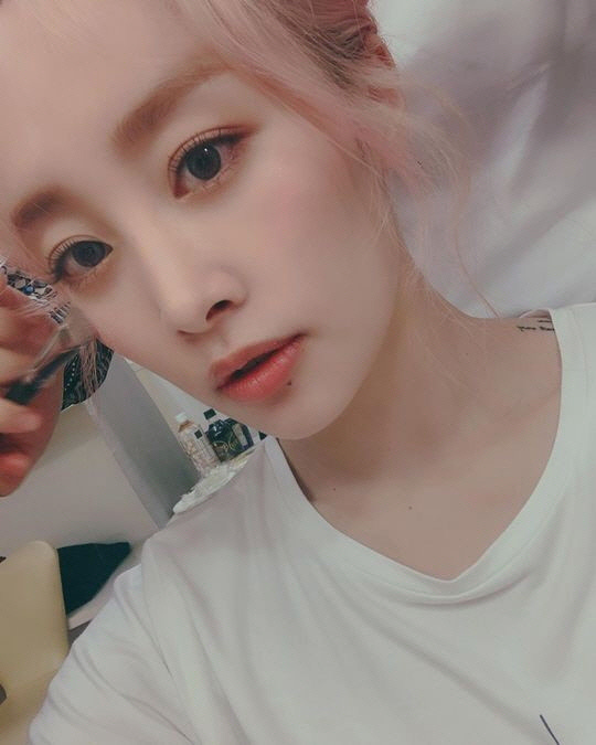 니콜 이미지