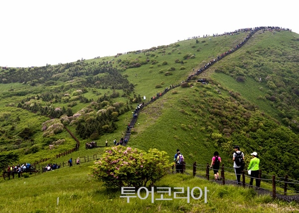 영주 이미지