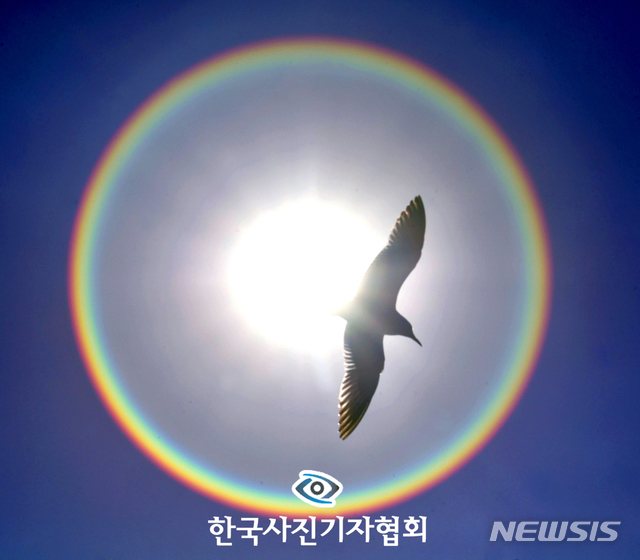 파란햇살 이미지
