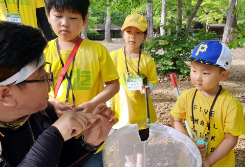 곤충 살피는 어린이 참가자 (포천=연합뉴스) 25∼26일 광릉숲 절대 보존림에서 열린 '바이오블리츠 코리아 2019'에서 어린이 참가자들이 채집한 곤충에 대한 설명을 듣고 있다. 2019.5.26 [국립수목원 제공]