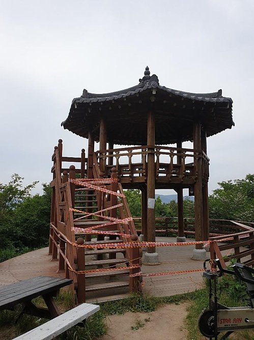 영도씨 사진 8