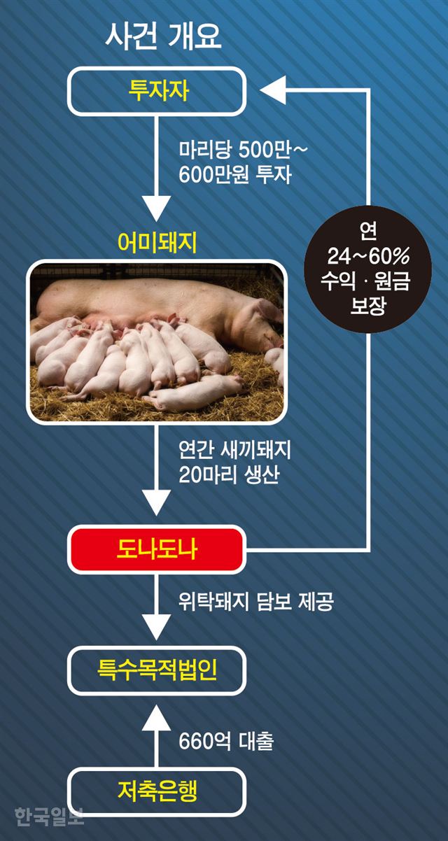 도나도나 이미지