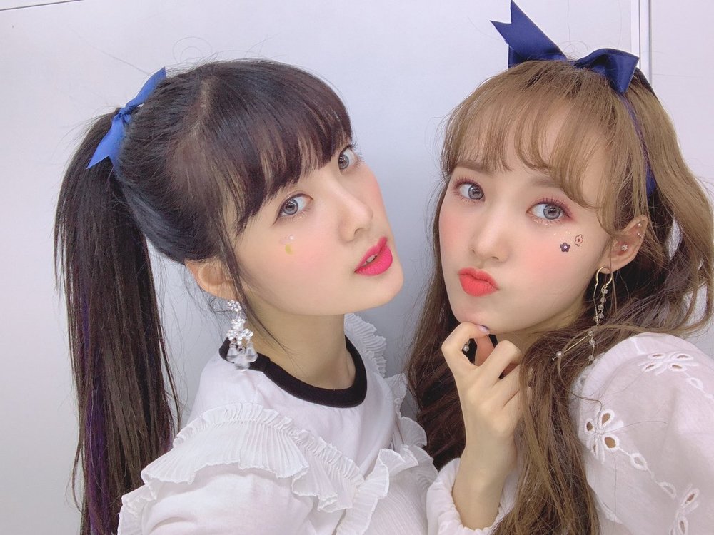 세이리본 이미지