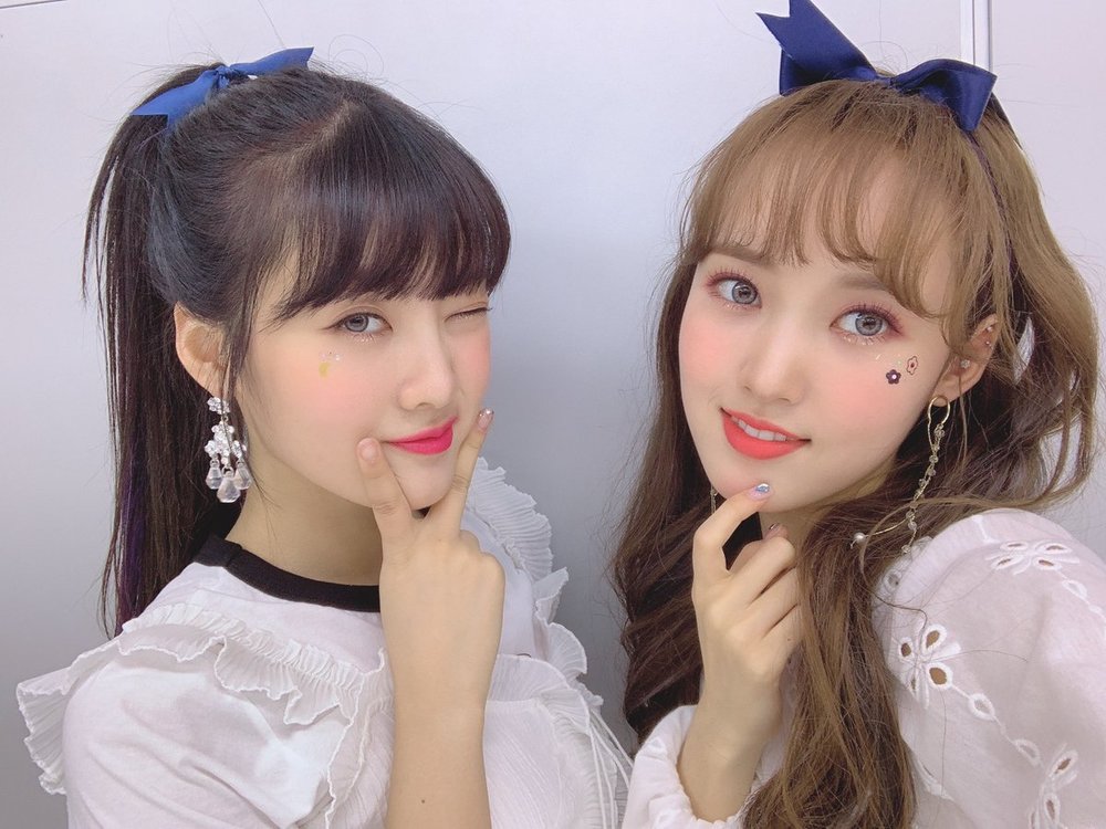 세이리본 이미지