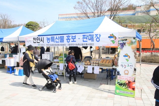 공무원연금공단천안상록리조트 이미지