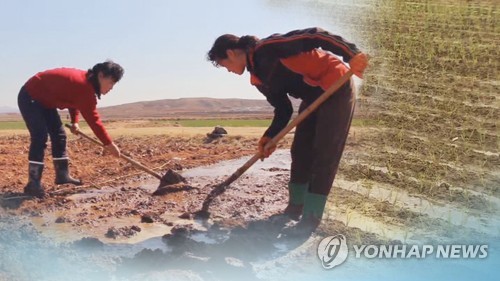 자력갱생 최대 변수 식량난…대화 압박 수위 높이는 北 (CG) [연합뉴스TV 제공]