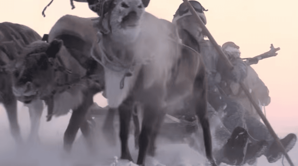 러시아 육군 제200 독립 기계화 보병 여단은 장병들이 순록 썰매를 타고 훈련을 하고 있다. [러시아 국방부 유튜브 캡처]