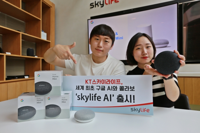스카이라이프 이미지