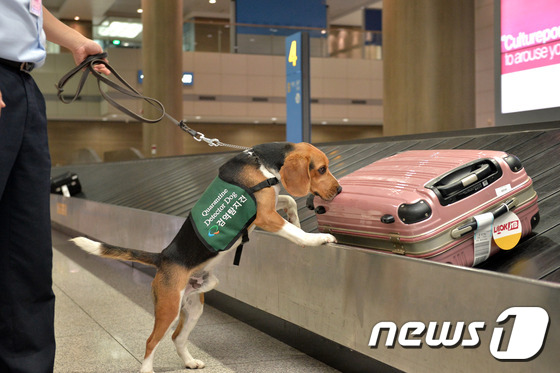 예우축산 이미지