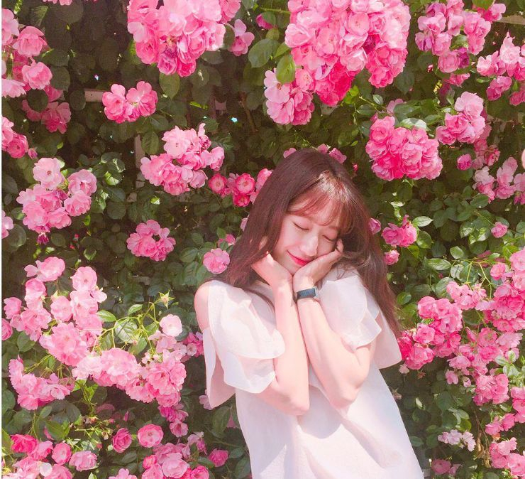 장미패션 이미지