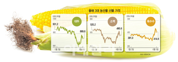 곡창지대 이미지