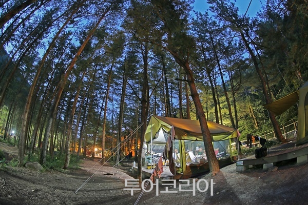 동해시시설관리공단망상리조트 이미지