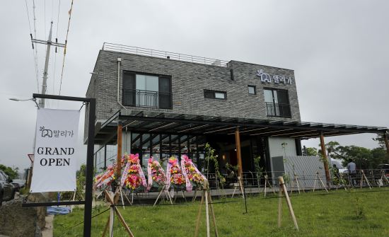 유엔문화원 이미지