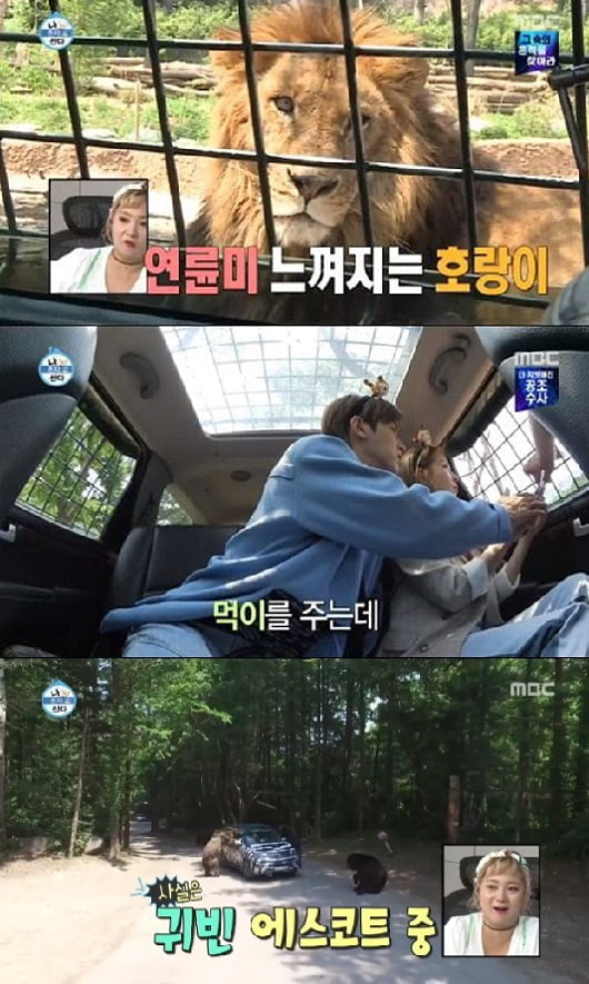 에버투어 이미지