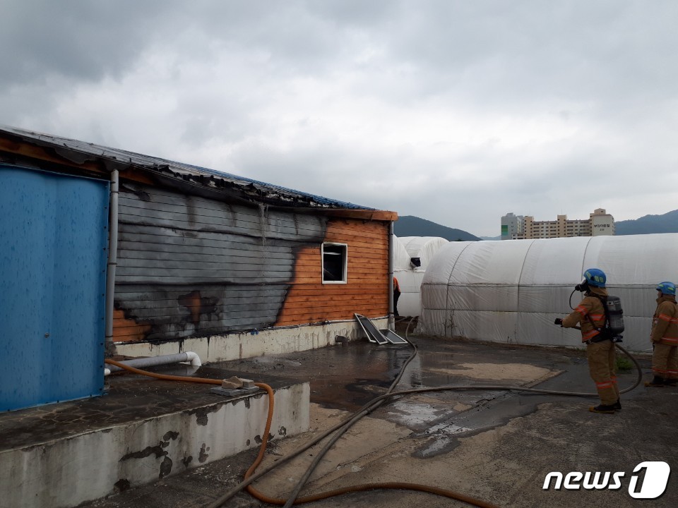 고기연구소 이미지