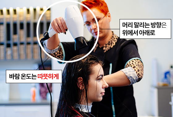 이은 헤어살롱 이미지
