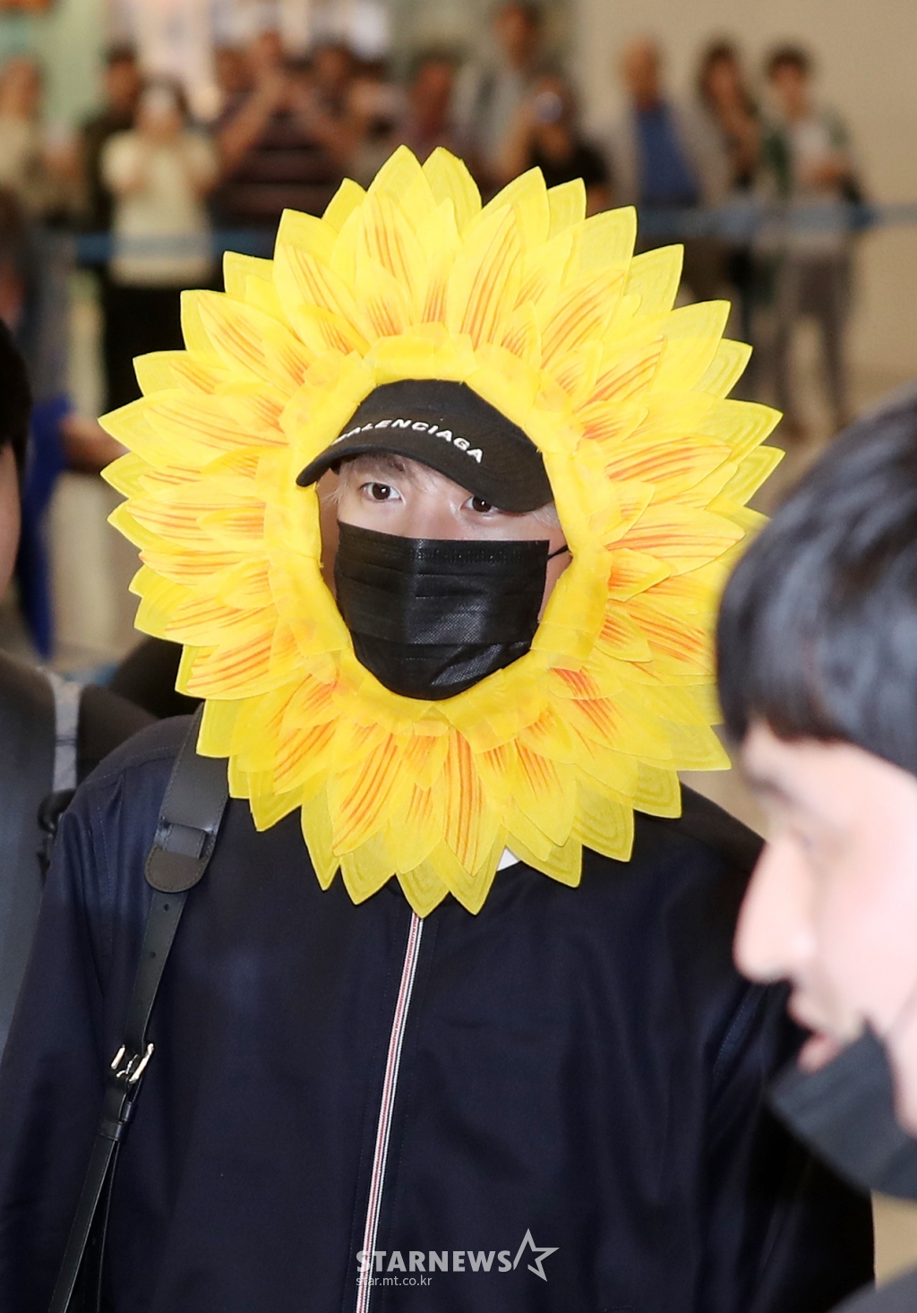 바라기 이미지