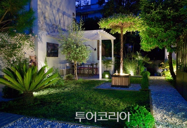 영화인터내셔널 이미지