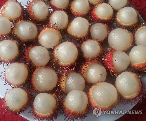 리치 이미지