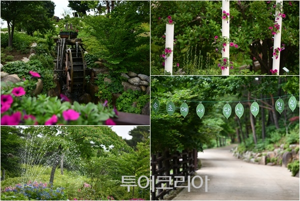 태양꽃식물원 이미지