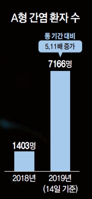 몸짱헬스 이미지