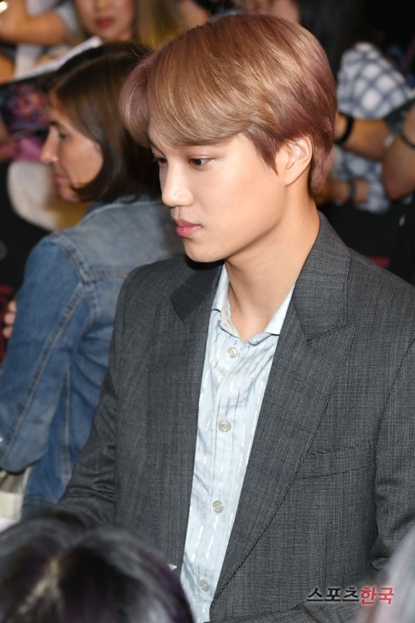 EXO Kai attends Red Carpet in Netflix Strange Story 3 held at Time Square in Yeongdeungpo, Seoul on the afternoon of the 20th.Netflix Strange Story 3 is a mystery thriller about the more bizarre and huge events in the town of Hawkins, Indiana, a year after the return of missing boy Will Byers.