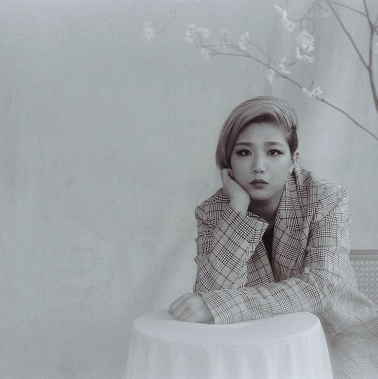 팬더컴퍼니 이미지