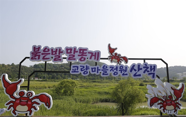 동천상사 이미지