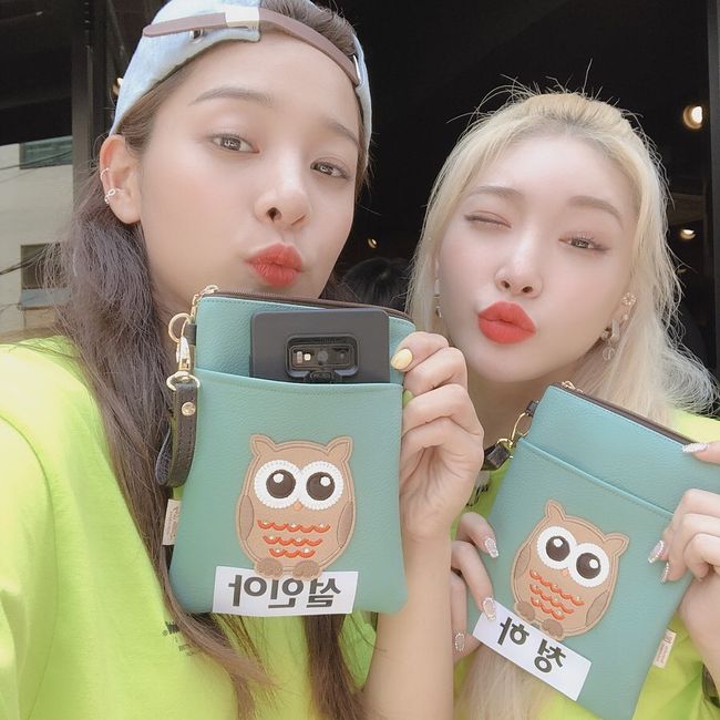 청하 이미지
