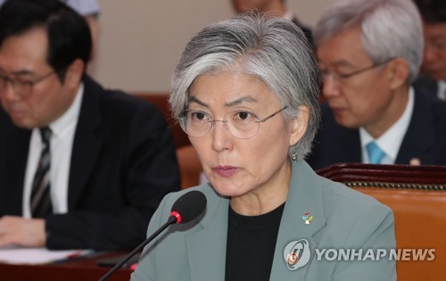 답변하는 강경화 장관 (서울=연합뉴스) 하사헌 기자 = 강경화 외교부 장관이 25일 오전 열린 국회 외교통일위원회 전체회의에서 의원질의에 답변하고 있다. 2019.6.25 toadboy@yna.co.kr