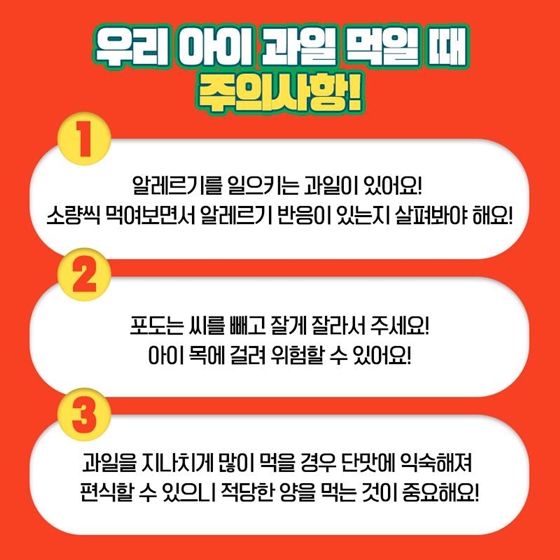 과일을부탁해 이미지