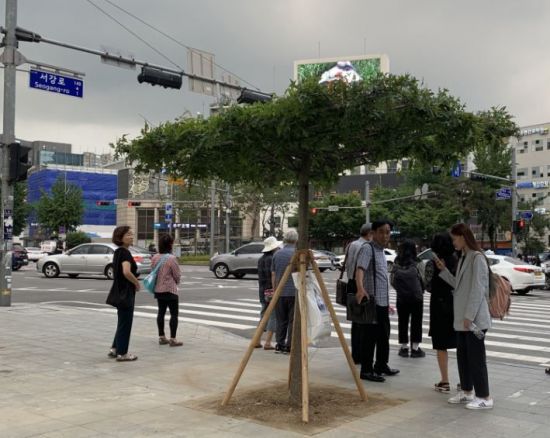 그늘 이미지