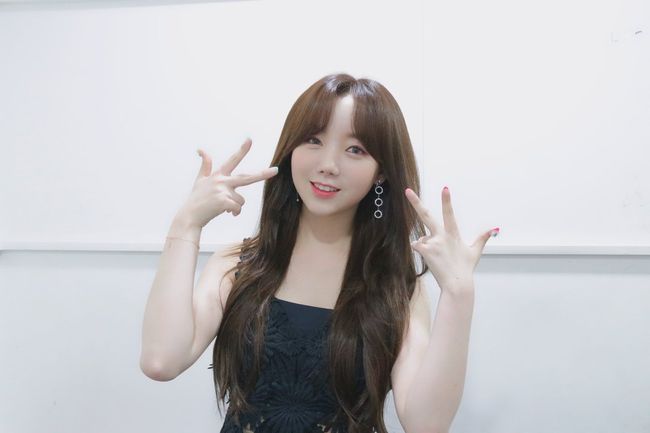 이들케이 이미지